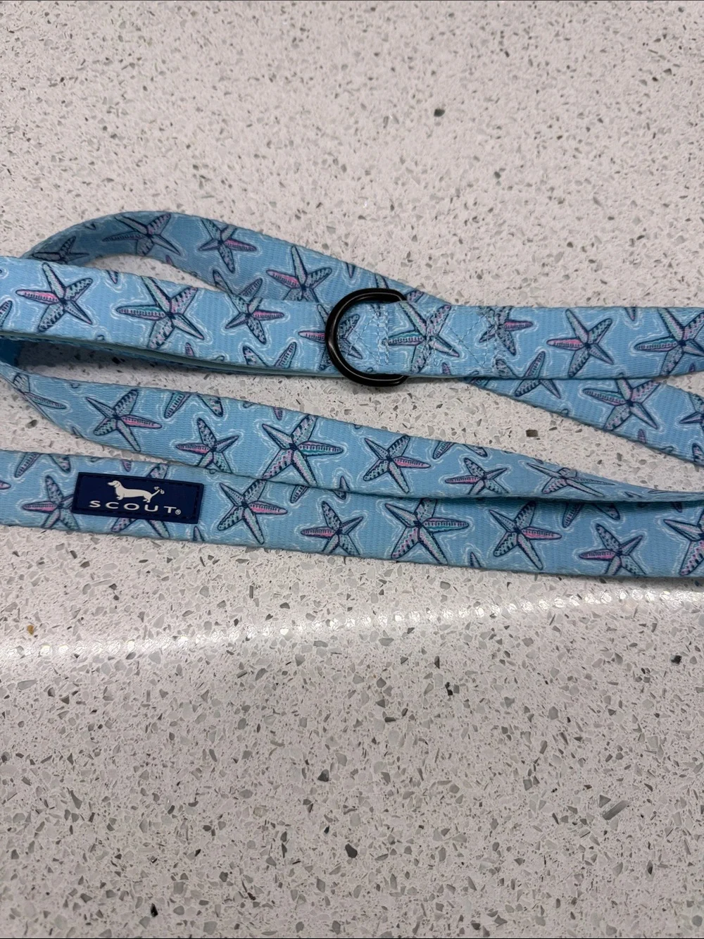 Scout Blue Starfish Pattern Dog Leash